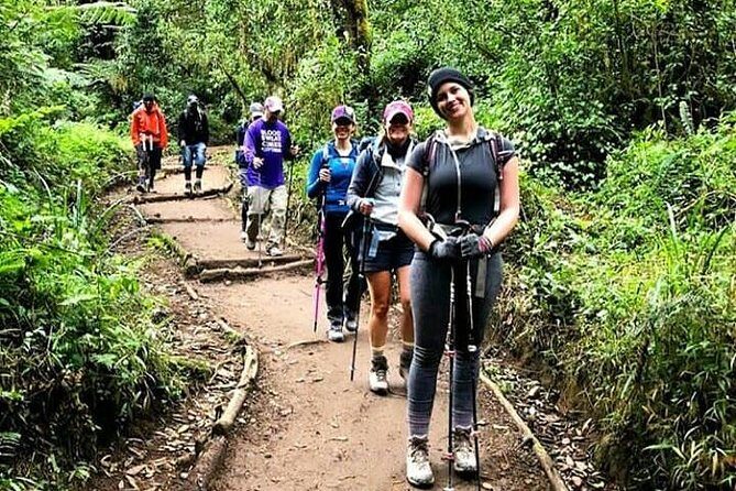 Mt Kilimanjaro Day Hike - Key things that make this Kilimanjaro day hike worth your time