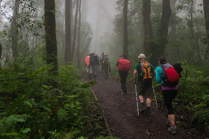 Mt Kilimanjaro Day Hike - Why this Kilimanjaro day hike feels like more than a photo stop