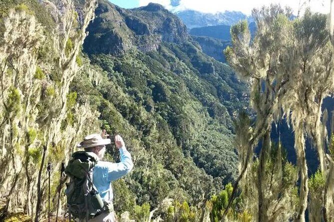 Mt Kilimanjaro Day Hike - Marangu Gate to Mandara Hut: rainforest trail, moss, and monkey sightings