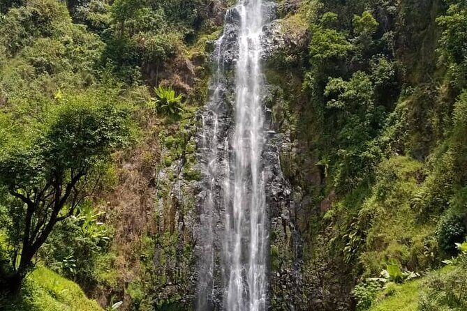 Mt. Kilimanjaro Day hike Materuni waterfall - Coffee plantation visit: cultivation to roasting your own cup