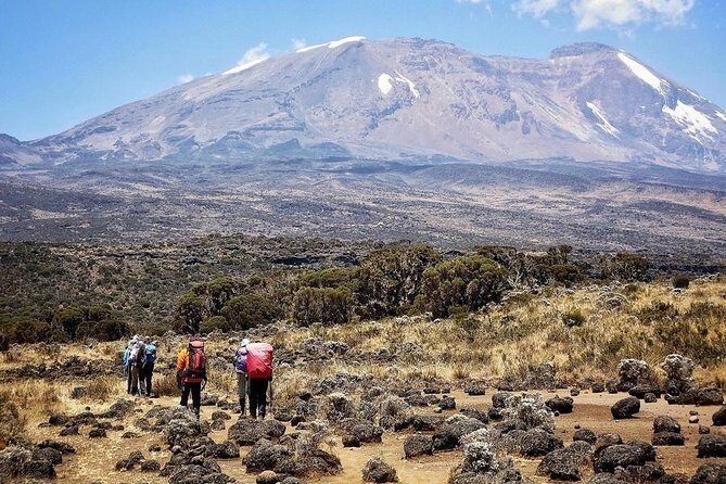 Mt.kilimanjaro Lemosho Route - Day 6: Uhuru Peak (5,895 m) summit night with a personal guide, then the descent to Millennium