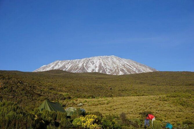 Mt. Kilimanjaro: Shira plateau to Cathedral point 3872m Day hike - The Forest Walk: Wildlife Spotting and Steady Breathing