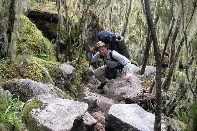 Mt Kilimanjaro Trek, 6 Days - Umbwe Route - Day 4: up to Barafu Camp and the approach to summit day