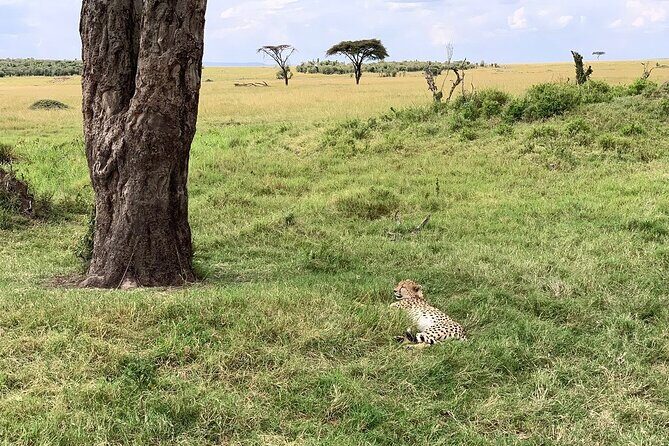 Multi-Day Tanzania Odssey Safari from Arusha - What Included Really Means for your budget