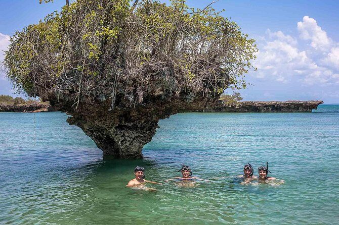 Nakupenda Island Snorkeling Sea trip & Lunch W/Transfer -Zanzibar - Nakupenda Island (Sandbank): Snorkeling Where the Water Changes Everything