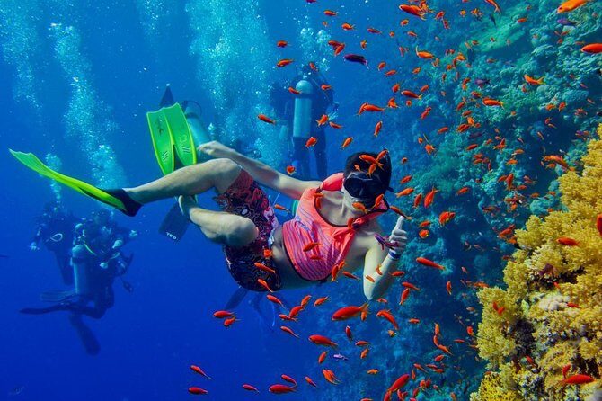 Nakupenda Island Snorkeling Sea trip & Lunch W/Transfer -Zanzibar - Lunch, Drinks, and the Swahili Food Piece You’ll Feel