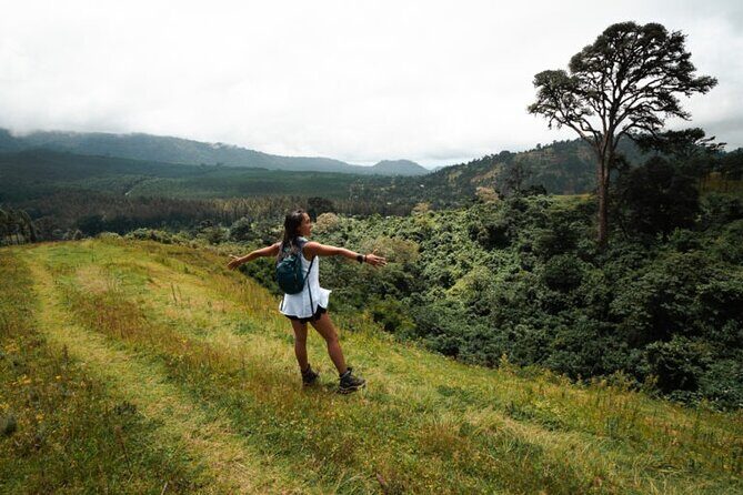 Napuru Waterfalls - Lunch Box at the Right Time: Fewer Decisions, More Relaxing