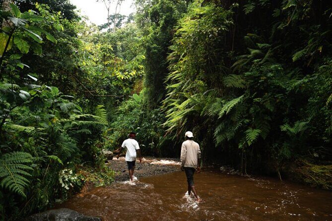 Napuru Waterfalls - At the Waterfall: Cooling Off Without the Rush