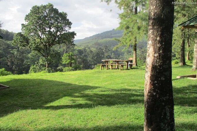 Napuru Waterfalls - Transportation and Group Size: Small Group Beats Big Van Energy