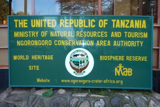 Ngorongoro Adventure Day Tour from Arusha - Open-roof 4WD game drive: comfort vs. full viewing