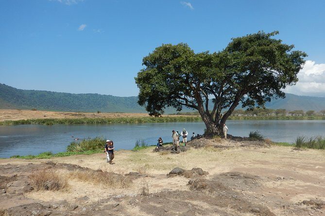 Ngorongoro Adventure Day Tour from Arusha - The 5:30am start: early pickup and how to survive it