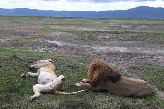 Ngorongoro Crater Day Trip - Price and Value: Is $570.40 a Good Deal?
