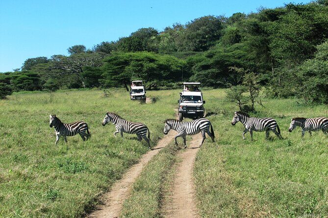 Ngorongoro Crater Day Trip – Shared Group Safari - Scenic Views and Birdwatching Time: Keeping the Day Interesting