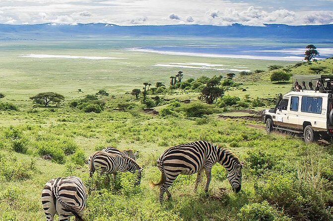 Ngorongoro Crater Exclusive: A Journey into Africa’s Eden - Descending for a Tailored Game Drive Targeting the Big Five