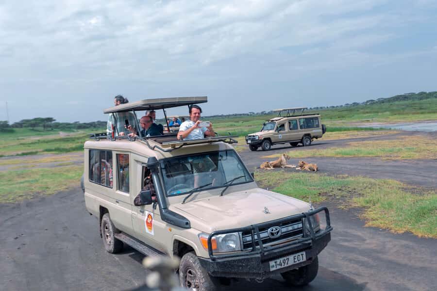 Ngorongoro Crater: Full-Day Safari Tour - The game drive: what spotting Big Five actually means here