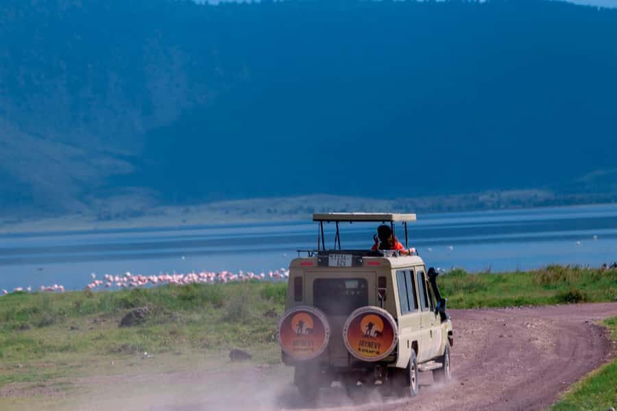 Ngorongoro Crater: Full-Day Safari Tour - Maasai culture: included, but timing can affect what you experience