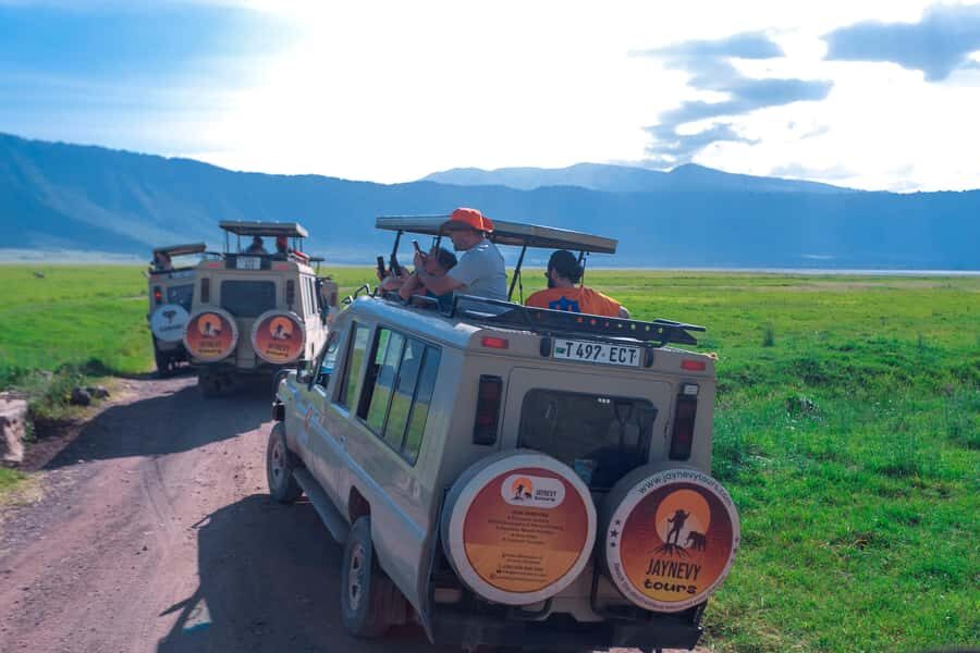 Ngorongoro Crater: Full-Day Safari Tour - What can make or break your day: guides, pacing, and hotel drop-offs