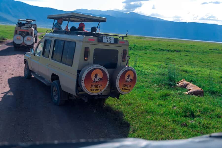 Ngorongoro Crater: Full-Day Safari Tour - Packing list and crater comfort tips that actually help