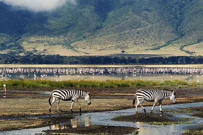 Ngorongoro Day Trip - Key highlights you’ll actually feel in Ngorongoro