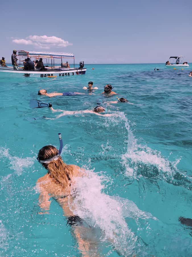 Nungwi: Dolphins,snokerlling &/or sunset cruising tour - Key points to know before you go