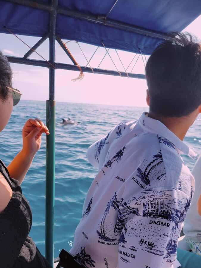 Nungwi: Dolphins,snokerlling &/or sunset cruising tour - What’s included (and what you’ll need to handle yourself)