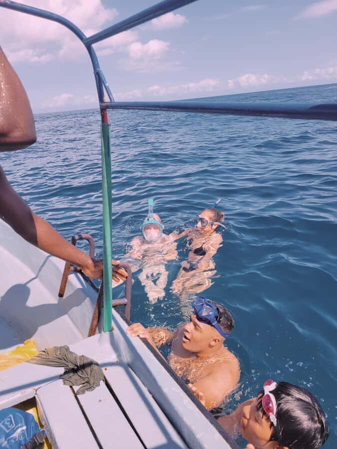 Nungwi: Dolphins,snokerlling &/or sunset cruising tour - Who this tour is best for in Zanzibar