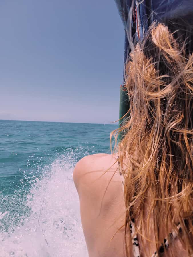 Nungwi: Dolphins,snokerlling &/or sunset cruising tour - Dolphin watching: what “natural habitat” really means on the water
