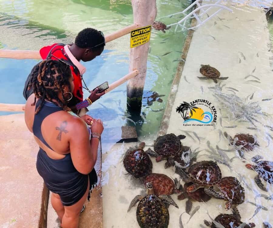 Nungwi: Swimming with Turtles at The Lagoons Zanzibar - Key things to know before you go