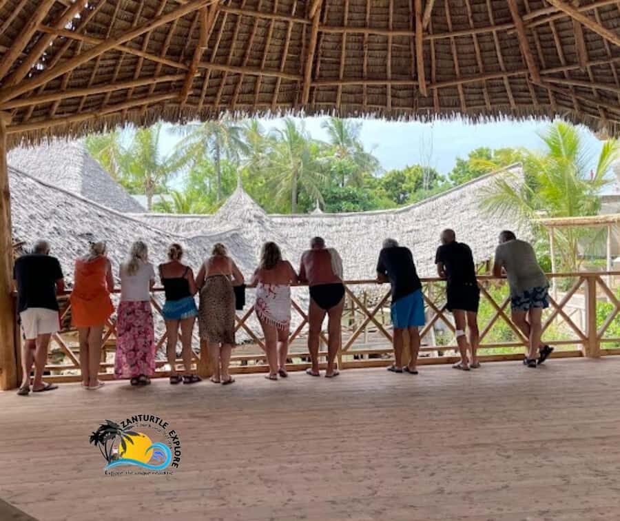 Nungwi: Swimming with Turtles at The Lagoons Zanzibar - Should you book Nungwi: Swimming with Turtles at The Lagoons Zanzibar?