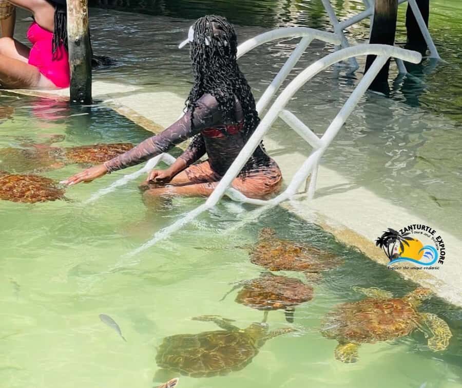 Nungwi: Swimming with Turtles at The Lagoons Zanzibar - Getting to Nungwi’s Lagoons Zanzibar without wasting your day