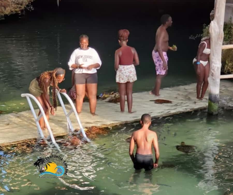 Nungwi: Swimming with Turtles at The Lagoons Zanzibar - Snorkeling and swim time: what you’ll actually do in the water
