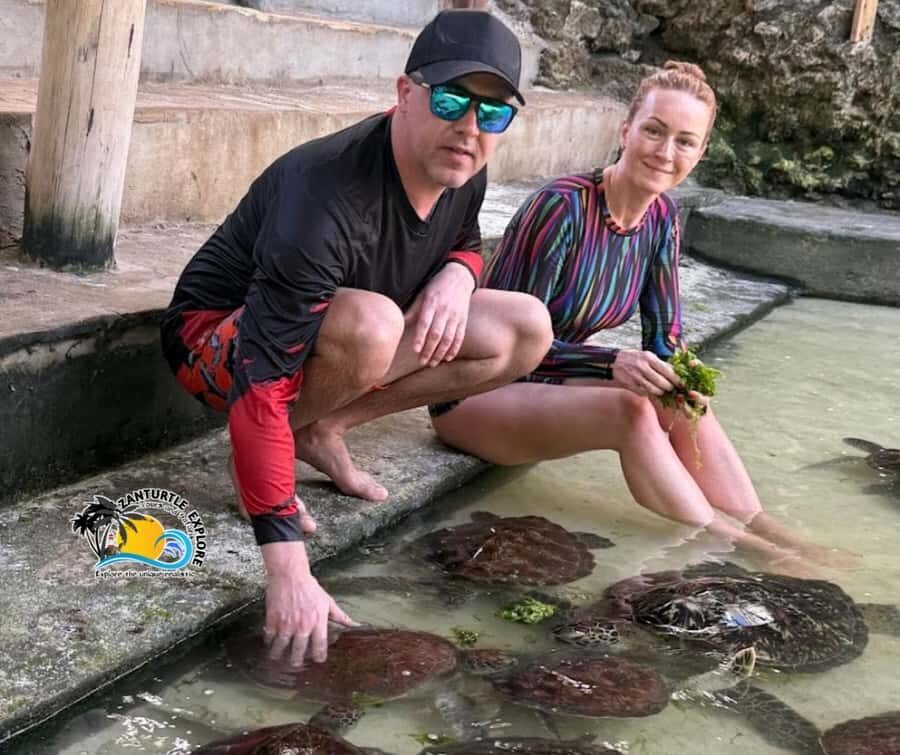 Nungwi: Swimming with Turtles at The Lagoons Zanzibar - Price and value: is $43 for two hours a fair deal?