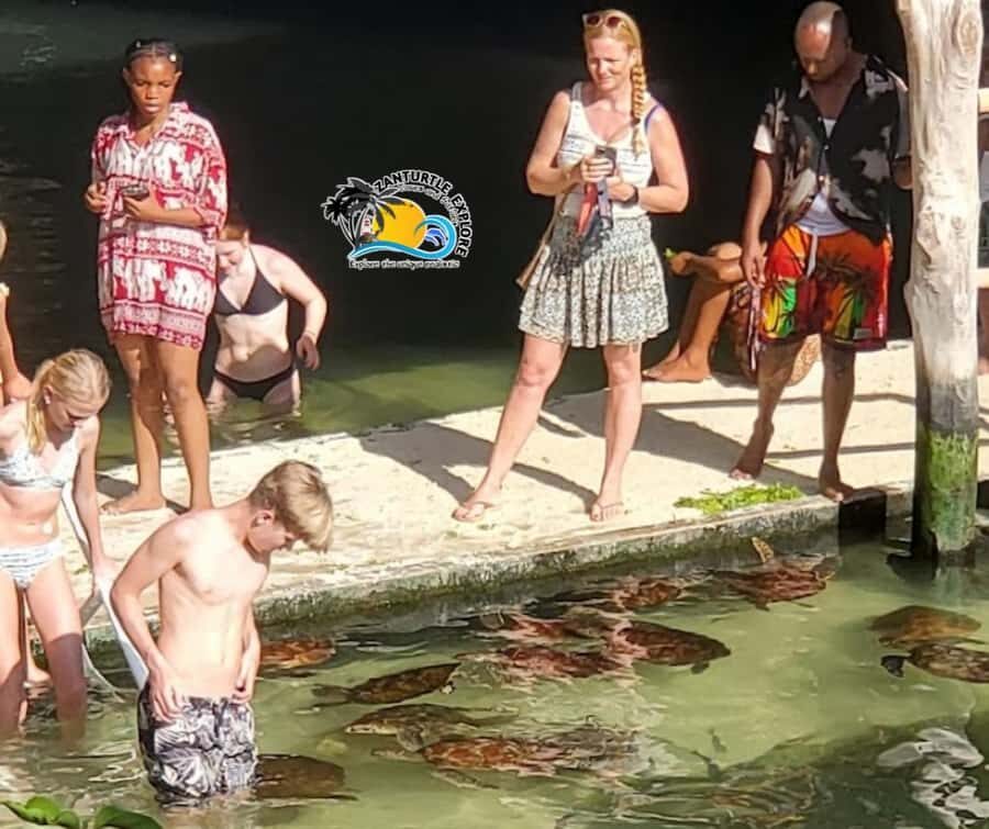 Nungwi: Swimming with Turtles at The Lagoons Zanzibar - Who this tour suits best (and who might think twice)