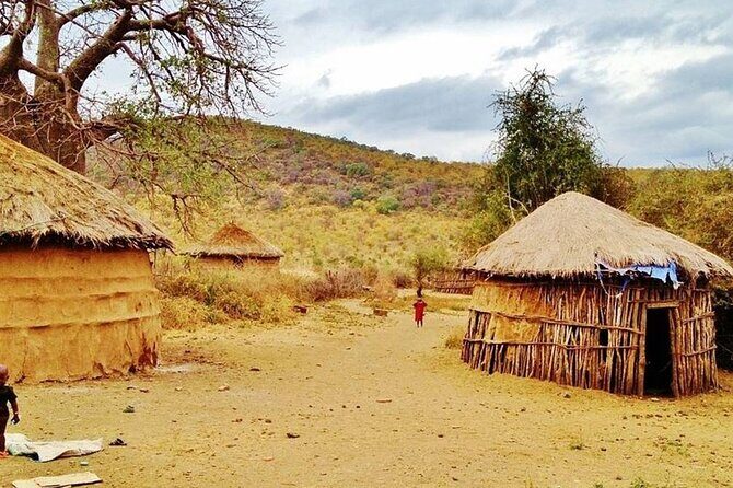 Off the Beaten Track Safari in Arusha Tanzania - Lodging style: beautiful, calm bases with park-and-near-park variety