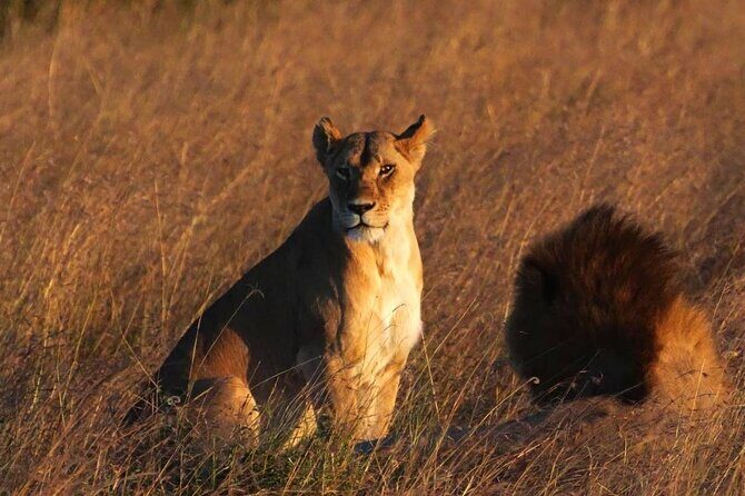 Off the Beaten Track Safari in Arusha Tanzania - Tarangire National Park: dry-season magic and river drama