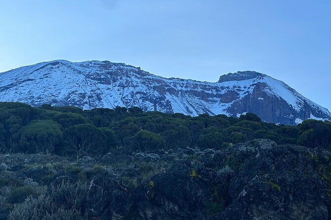 One Kilimanjaro Day hike Tour ISMANI TOURS AND SAFARIS - Key Things I’d Pay Attention To