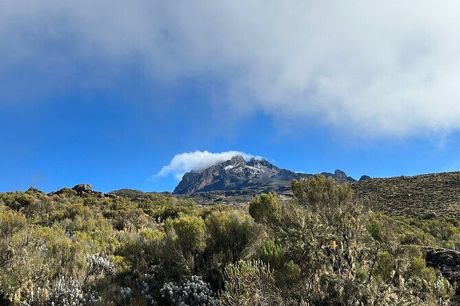 One Kilimanjaro Day hike Tour ISMANI TOURS AND SAFARIS - Rainforest Climb to Mandara Hut (2,743m): The Pace-Setter