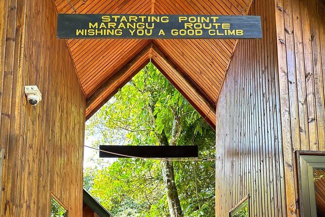 One Kilimanjaro Day hike Tour ISMANI TOURS AND SAFARIS - Descent Back to Marangu Gate: Don’t Lose Focus
