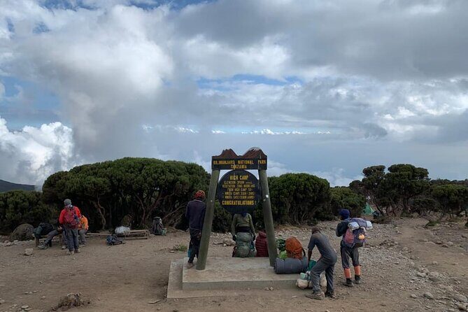 Our Top 5-Day Kilimanjaro Marangu Route: 2025 and 2026 Updates - Day 5: Horombo down through rainforest to Marangu Gate and Moshi (18 km, 6–7 hours)