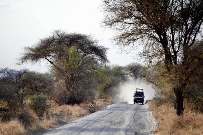 Outstanding day trip to Tarangire National Park - Tarangire in One Day: 6:00am Start, Small Group Pace