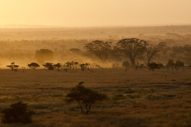 Outstanding day trip to Tarangire National Park - Price and Value: Why $295 Can Make Sense in Tanzania