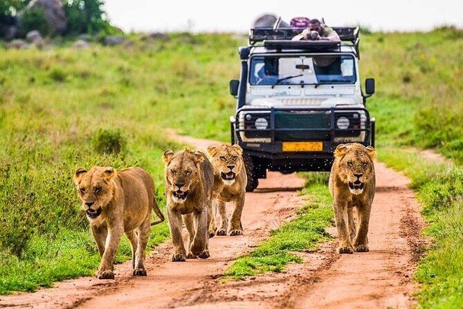 Outstanding day trip to Tarangire National Park - The Wildlife Mix That Makes Tarangire Worth the Detour