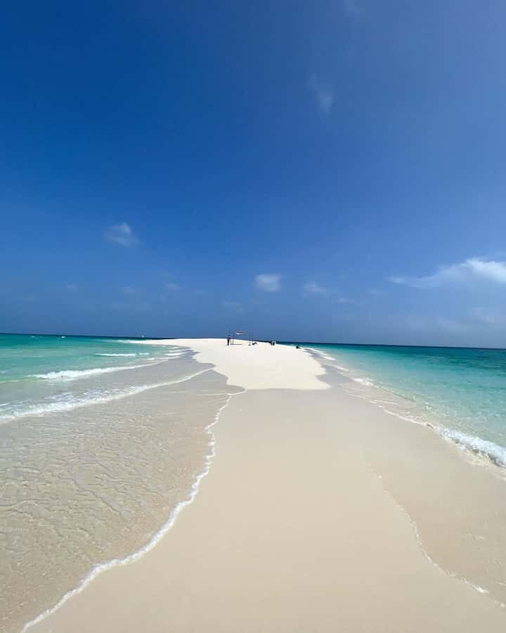 Prison island and nakupenda beach sandbank - Who should book this tour (and who might want to skip it)