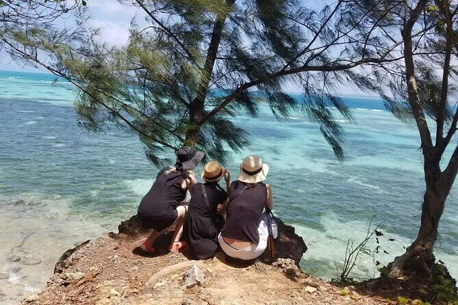 Prison Island And Nakupenda Sandbank Excursion - Changuu snorkeling: equipment included, so you can focus on the water