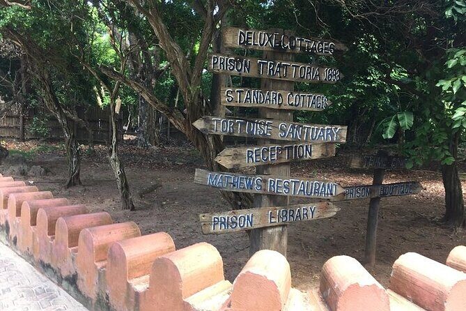 Prison Island and Stone Town Private Tour - Why Prison Island and Stone Town Fit Together in One Day