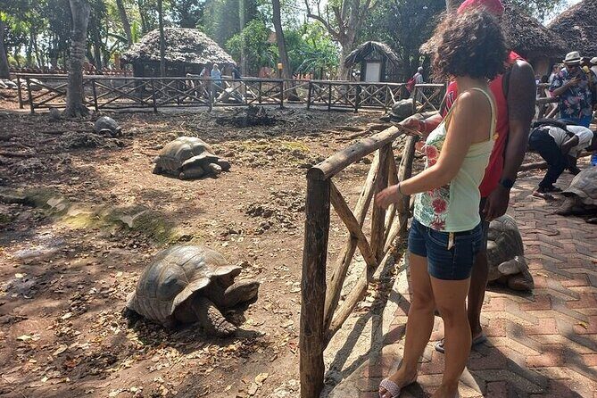 Prison Island and Stone Town Private Tour - Stone Town Walking Highlights: From Former Slave Market to Darajani