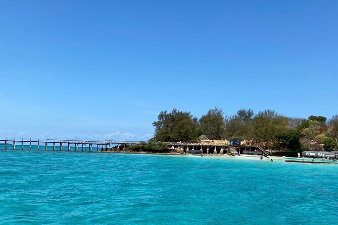 Prison Island + Nakupenda Tour - Nakupenda Beach Nature Reserve: Snorkeling at Your Pace, Plus Lunch Done Right