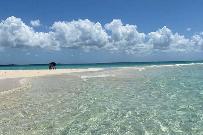 Prison Island + Nakupenda Tour - Price and Value: What $140 Gets You (and Why It’s Not Just a Boat Ride)