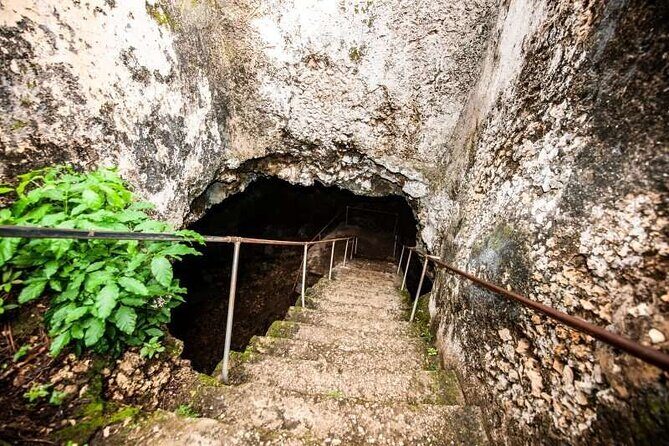 Prison island(Changuu island) & stone town walking tour - FAQ