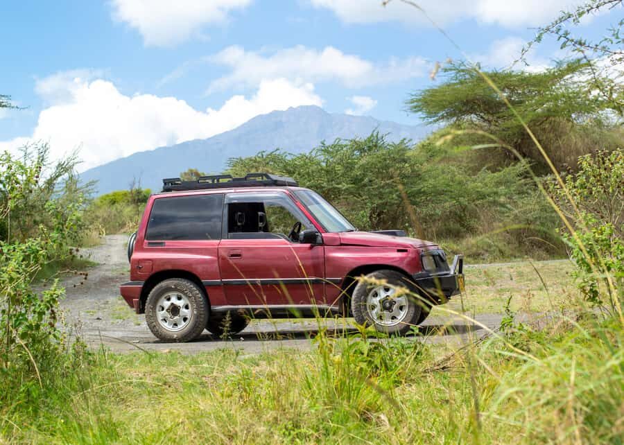 Private 4x4 Vitara Safari in Arusha National Park - Practical tips: what to bring for a comfortable 4x4 day
